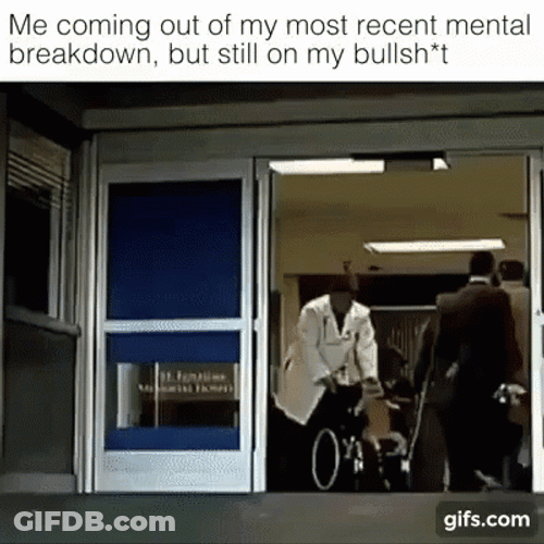 Funny Cat Mental Breakdown Admission GIF