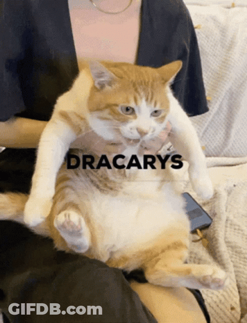 Funny Cat Meowing Dracarys GIF