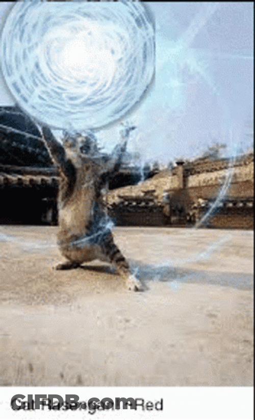 Funny Cat Rasengan Rasencat GIF