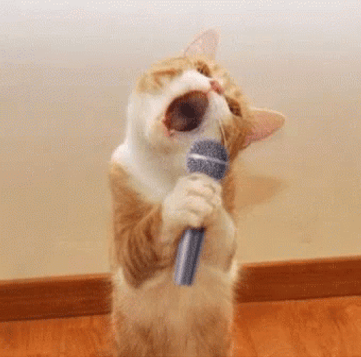 Funny Cat Singing With Mic GIF