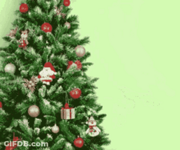 Funny Christmas Flying Cat GIF