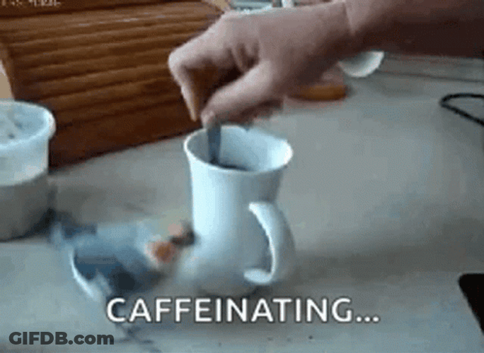 Funny Coffee Spinning Bird Caffeinating GIF