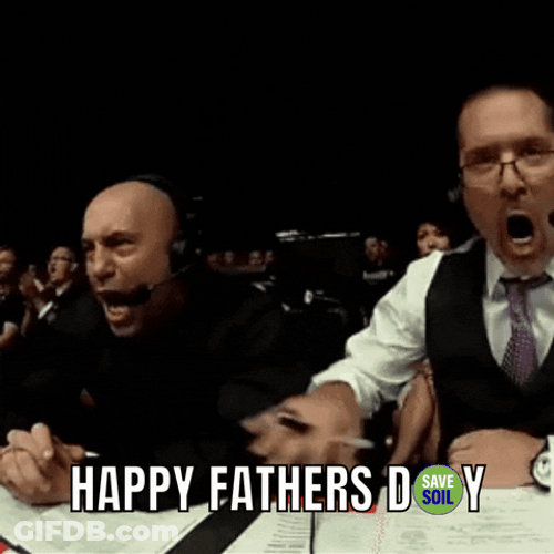 Funny Commentator Happy Fathers Day GIF