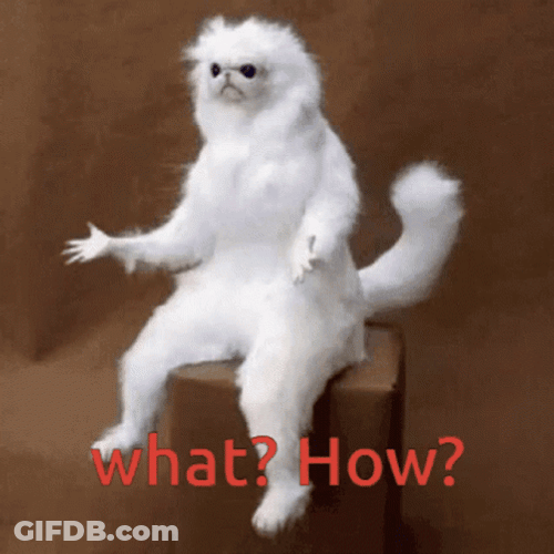Funny Confused White Cat What How Meme GIF