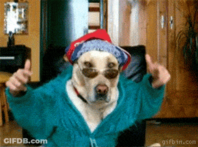 Funny Cool Dog Gun Scissors GIF
