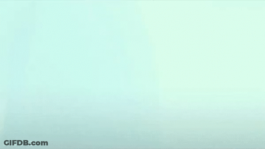 Funny Cruise Count Dracula Question GIF