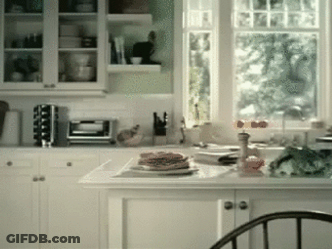 Funny Cute Dog Cat GIF