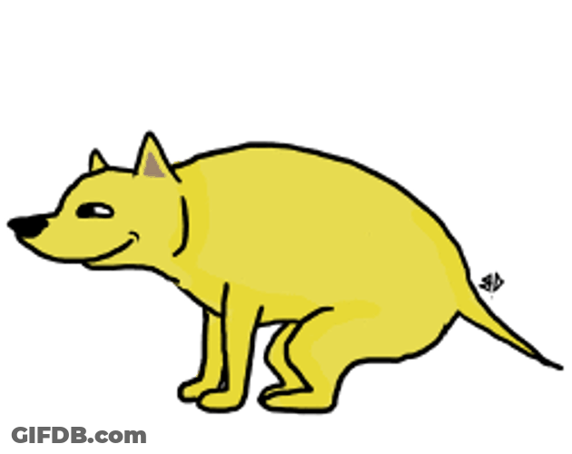 Funny Cute Dog Poop GIF