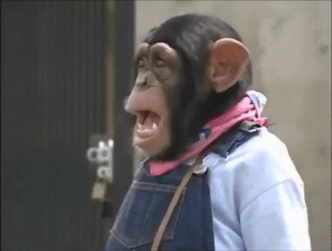 Funny Cute Monkey Scream GIF