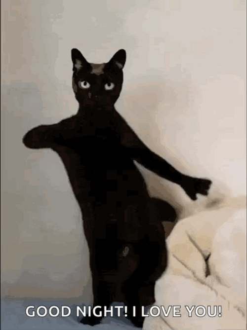 Funny Dancing Black Cat Good Night Love You GIF