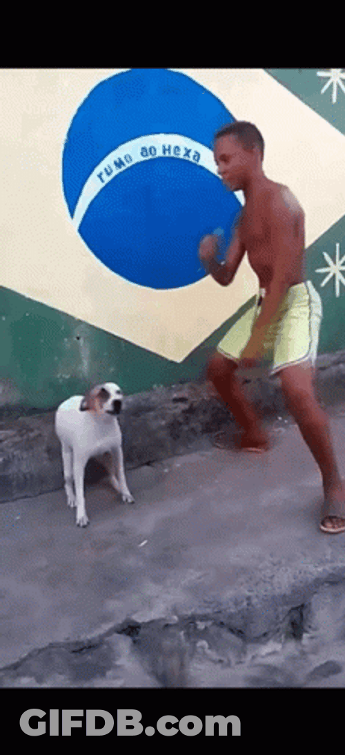Funny Dancing Brazilian Dog And His Owner GIF