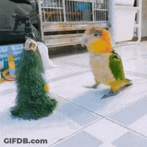 Funny Dancing Christmas Tree Bird GIF