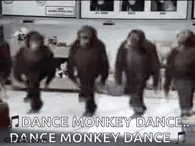 Funny Dancing Dance Monkeys GIF