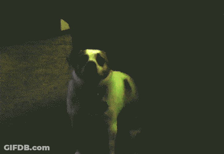 Funny Dancing Dog Disco Lights GIF