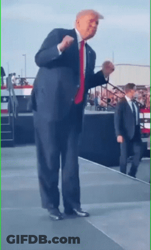 Funny Dancing Donald Trump Meme GIF