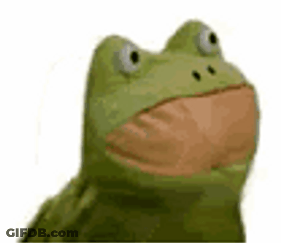 Funny Dancing Frog Head Shake Stare GIF