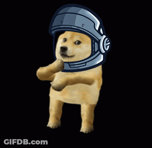Funny Dancing Helmet Dog GIF