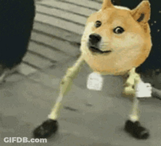 Funny Dancing Skeleton Dog GIF