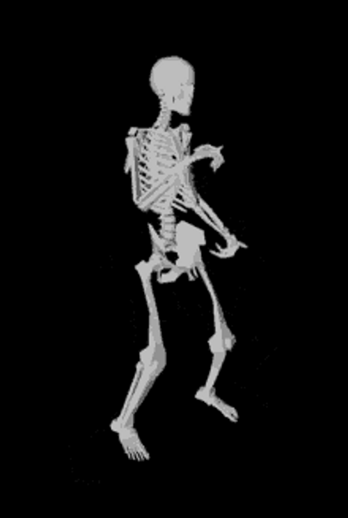 Funny Dancing Skeleton X-Ray Twerk GIF