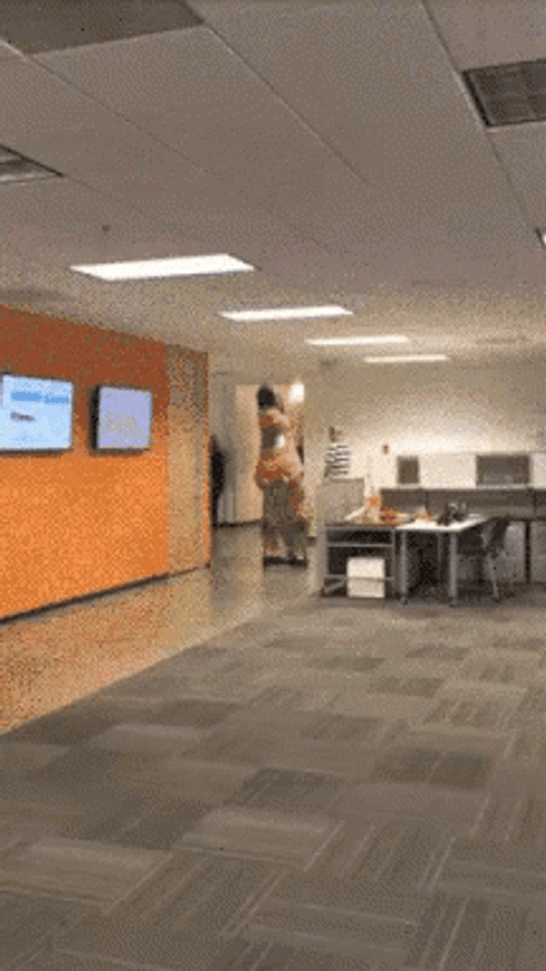 Funny Dinosaur Roaming They See Me Rollin GIF