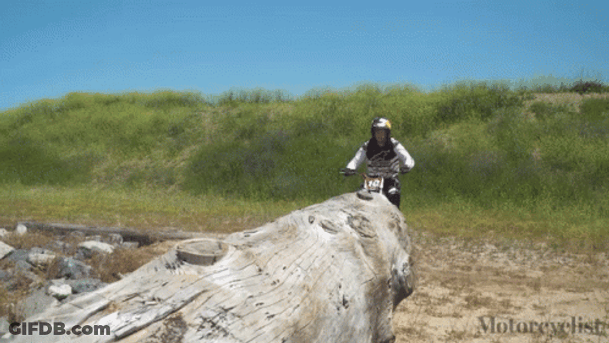 Funny Dirt Bike Tree Trunk Landing Fail GIF