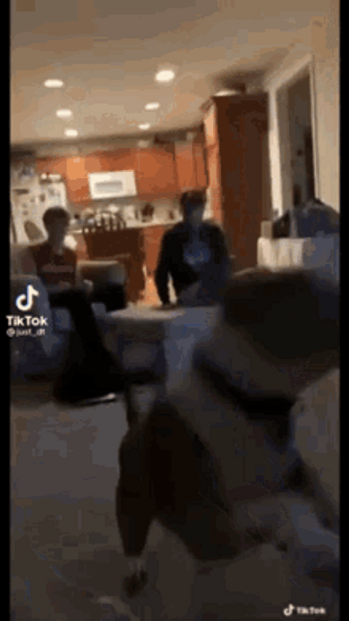 Funny Dog Doing A Flip GIF