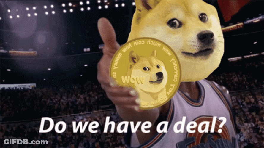 Funny Dog Meme Cool Awesome GIF