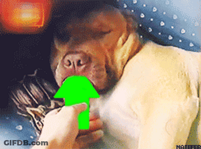 Funny Dog Meme Eating Arrow GIF