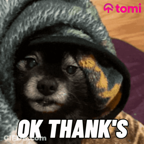 Funny Dog Meme Wink GIF