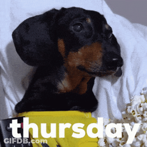 Funny Dog Not  A Happy Thursday GIF