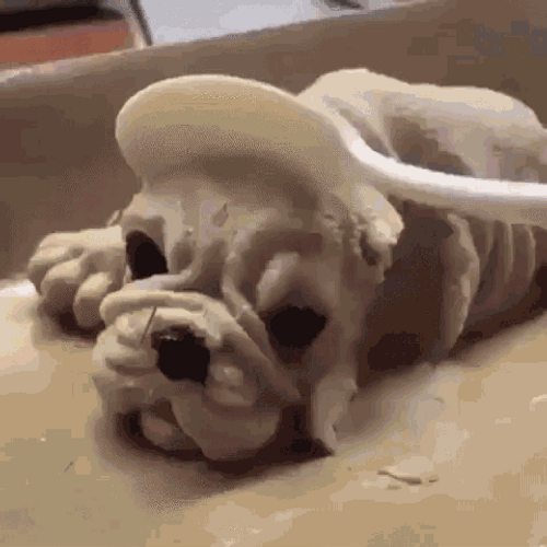 Funny Dog Reaction GIF