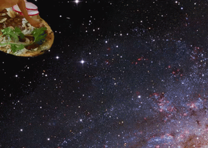 Funny Dog Space Pizza GIF