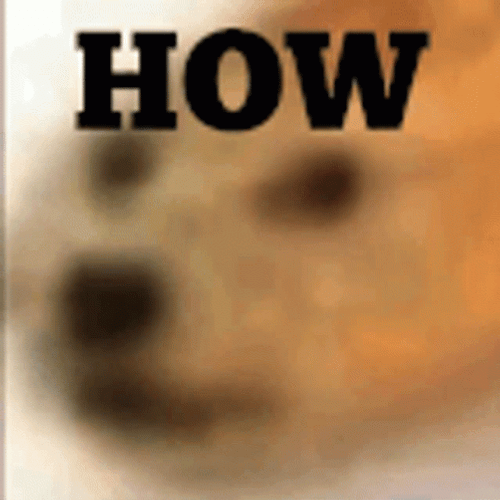 Funny Dog Stare How Meme GIF