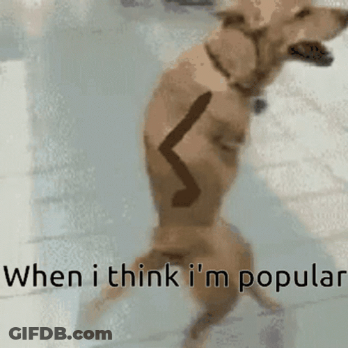 Funny Dog Thinks His Popular GIF