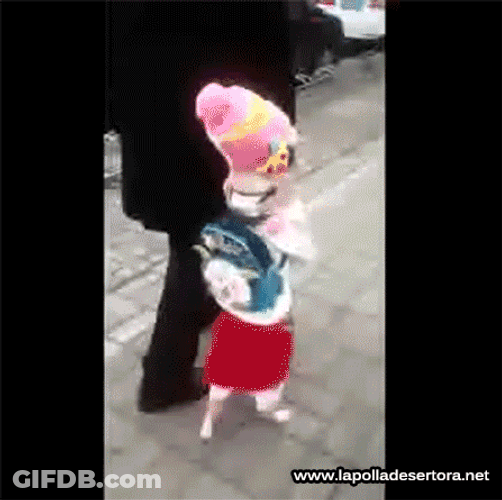 Funny Dog Walking Costume GIF