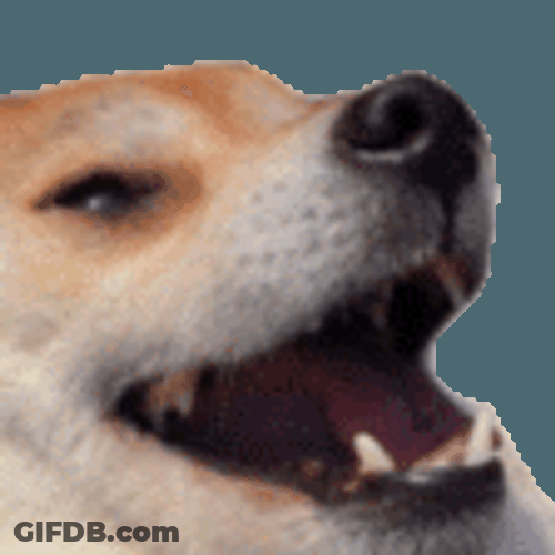 Funny Doge Kekw Reaction Sticker GIF