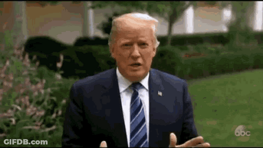 Funny Donald Trump Explaining Hair Gone GIF
