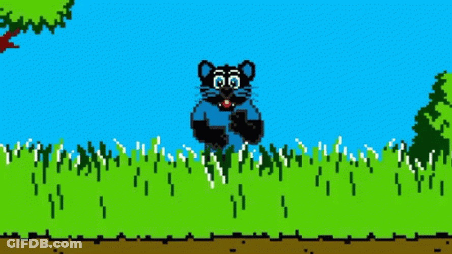 Funny Duck Hunt Panther GIF