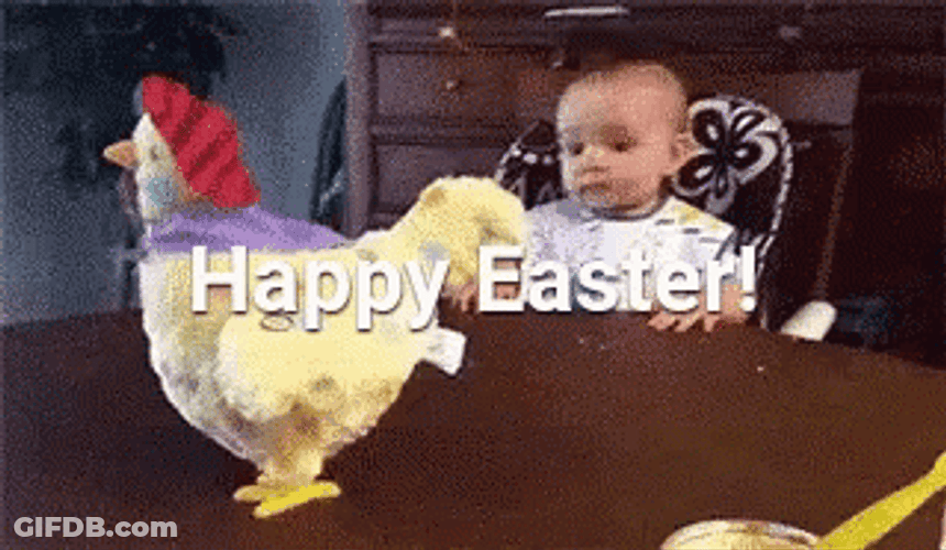 Funny Easter Shocked Baby Staring GIF