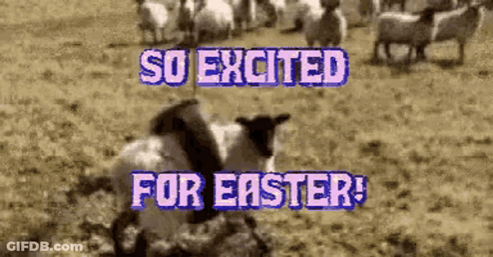 Funny Easter So Excited Sheep GIF