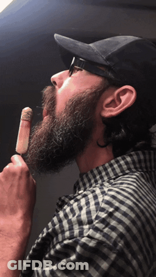 Funny Eating Brandon Halow GIF