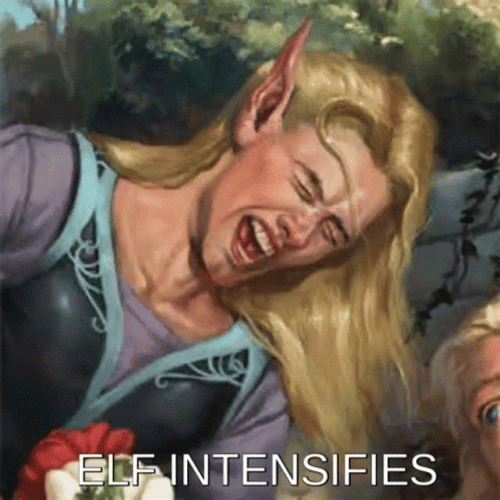 Funny Elf Intensifies GIF