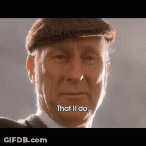 Funny Face Thatll Do Pig GIF