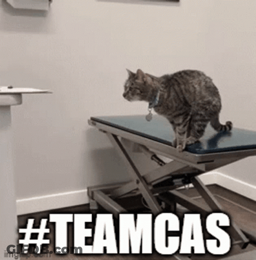 Funny Fail Cat Jumping GIF