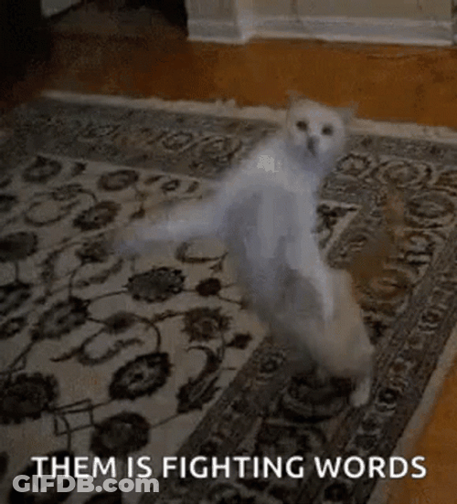 Funny Fight Hilarious Cat Them Fighting Words GIF