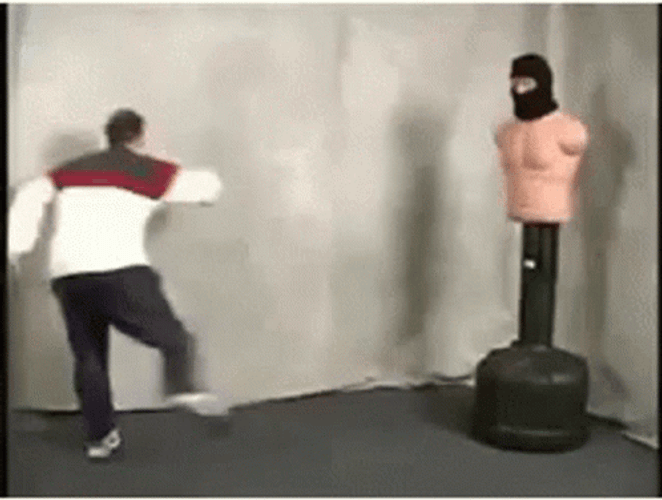 Funny Fighting Kung Fu Fail GIF