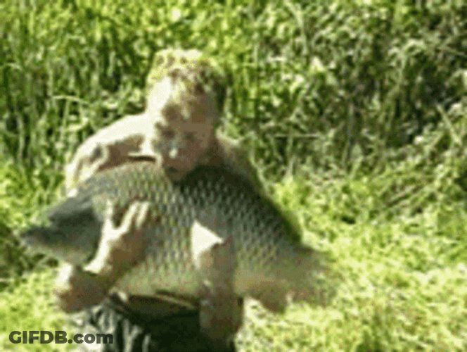 Funny Fishing Big Catch GIF
