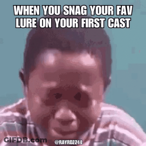 Funny Fishing GIF