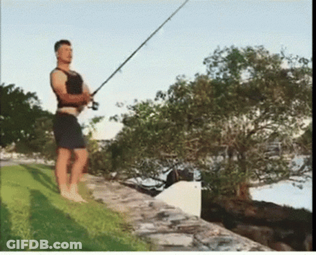 Funny Fishing For Attention GIF