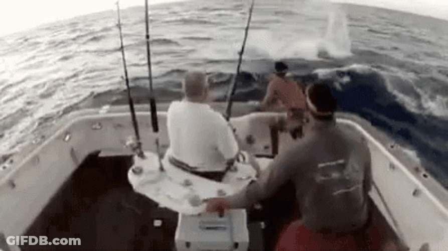 Funny Fishing Sword Fish Attack GIF